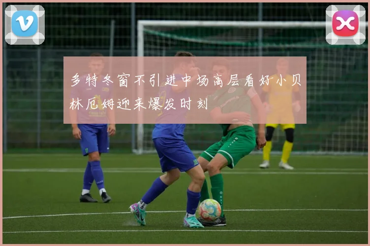 多特冬窗不引进中场高层看好小贝林厄姆迎来爆发时刻