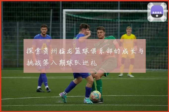 探索贵州猛龙篮球俱乐部的成长与挑战第八期球队巡礼