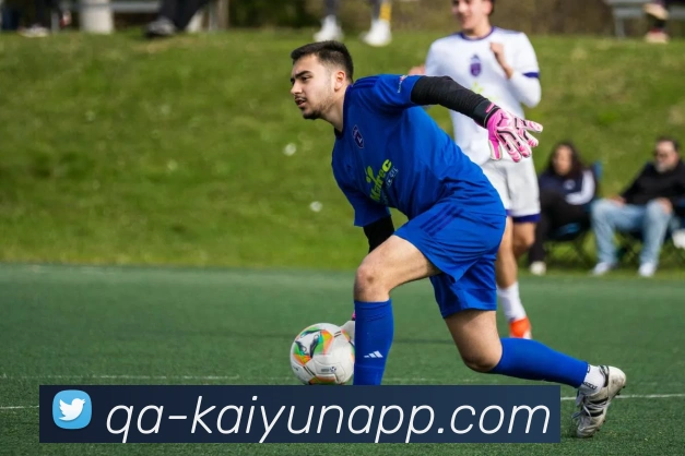 开云体育APP 高清赛事图